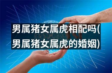 男属猪女属虎相配吗(男属猪女属虎的婚姻)