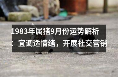 <h3>1983年属猪9月份运势解析：宜调适情绪，开展社交营销