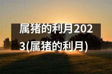 属猪的利月2025(属猪的利月)