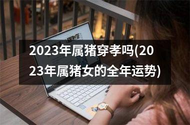 <h3>2025年属猪穿孝吗(2025年属猪女的全年运势)