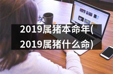 2019属猪本命年(2019属猪什么命)