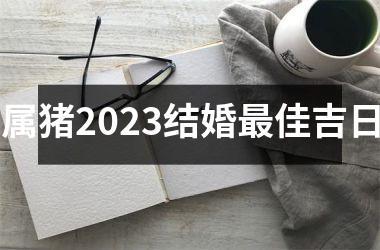 属猪2025结婚佳吉日