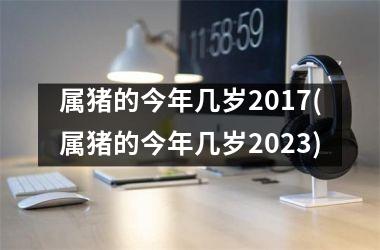 属猪的今年几岁2017(属猪的今年几岁2025)