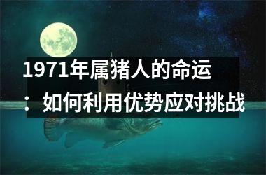 1971年属猪人的命运：如何利用优势应对挑战