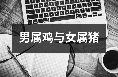 男属鸡与女属猪