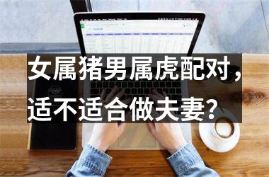 女属猪男属虎配对，适不适合做夫妻？