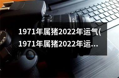 1971年属猪2025年运气(1971年属猪2025年运势及运程男性)