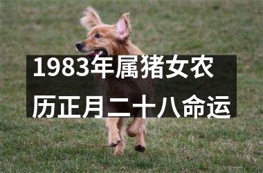 1983年属猪女农历正月二十八命运