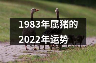 1983年属猪的2025年运势