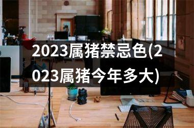 2025属猪禁忌色(2025属猪今年多大)