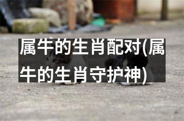 属牛的生肖配对(属牛的生肖守护神)