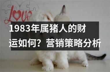 1983年属猪人的财运如何？营销策略分析