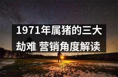 1971年属猪的三大劫难 营销角度解读