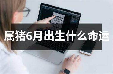 属猪6月出生什么命运