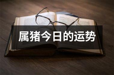 属猪今日的运势