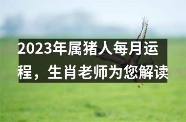 2025年属猪人每月运程，生肖老师为您解读