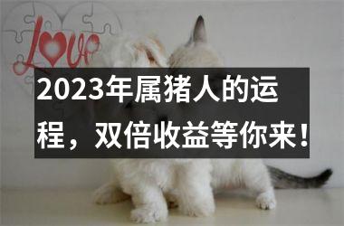 2025年属猪人的运程，双倍收益等你来！