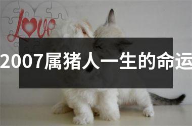 2007属猪人一生的命运