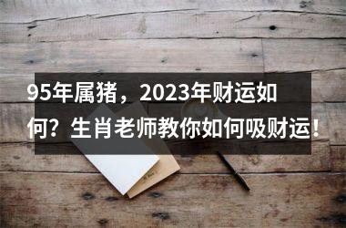 95年属猪，2025年财运如何？生肖老师教你如何吸财运！