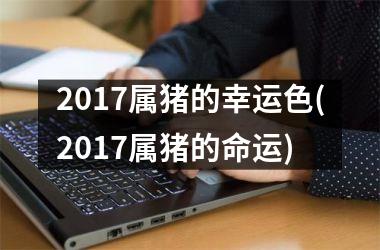 2017属猪的幸运色(2017属猪的命运)