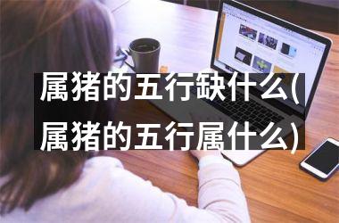 <h3>属猪的五行缺什么(属猪的五行属什么)