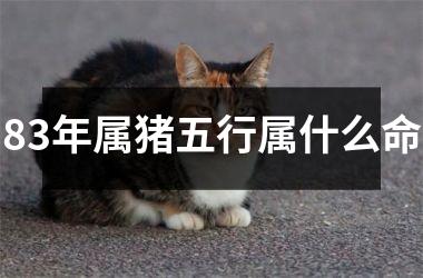 83年属猪五行属什么命