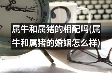 属牛和属猪的相配吗(属牛和属猪的婚姻怎么样)