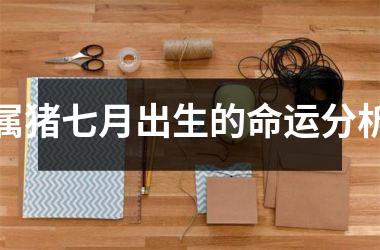 属猪七月出生的命运分析