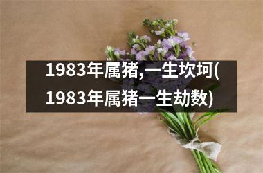 1983年属猪,一生坎坷(1983年属猪一生劫数)
