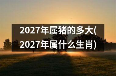 2027年属猪的多大(2027年属什么生肖)