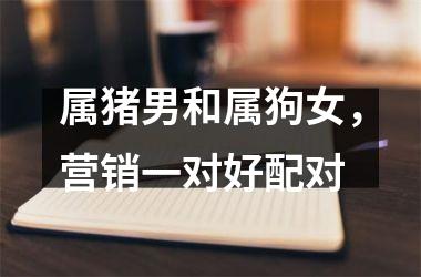 属猪男和属狗女，营销一对好配对