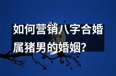 如何营销八字合婚属猪男的婚姻？