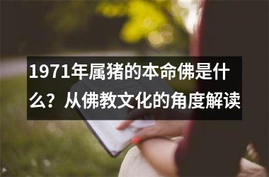 1971年属猪的本命佛是什么？从佛教文化的角度解读