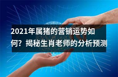 2025年属猪的营销运势如何？揭秘生肖老师的分析预测
