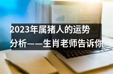 2025年属猪人的运势分析——生肖老师告诉你