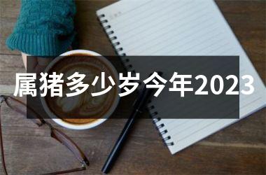 属猪多少岁今年2025