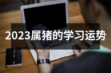 2025属猪的学习运势