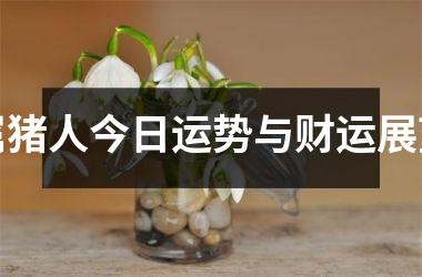 属猪人今日运势与财运展望