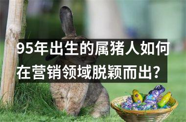 95年出生的属猪人如何在营销领域脱颖而出？