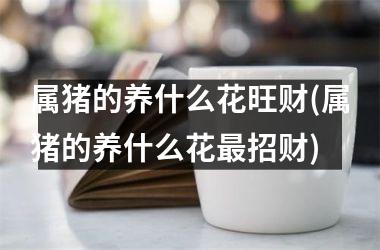 属猪的养什么花旺财(属猪的养什么花招财)