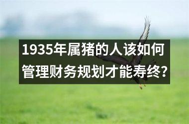 1935年属猪的人该如何管理财务规划才能寿终？