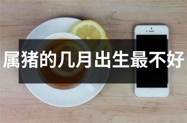 属猪的几月出生不好