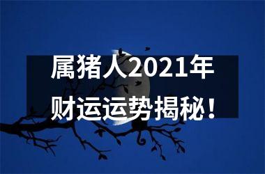 属猪人2025年财运运势揭秘！