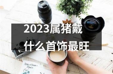 2025属猪戴什么首饰旺