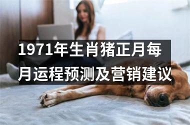 1971年生肖猪正月每月运程预测及营销建议