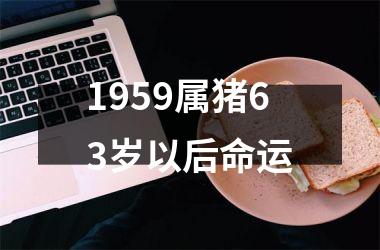 1959属猪63岁以后命运