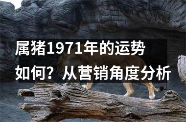 属猪1971年的运势如何？从营销角度分析