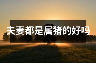 夫妻都是属猪的好吗