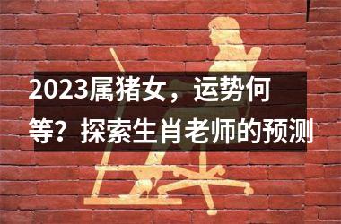 2025属猪女，运势何等？探索生肖老师的预测