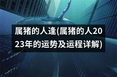 属猪的人逢(属猪的人2025年的运势及运程详解)